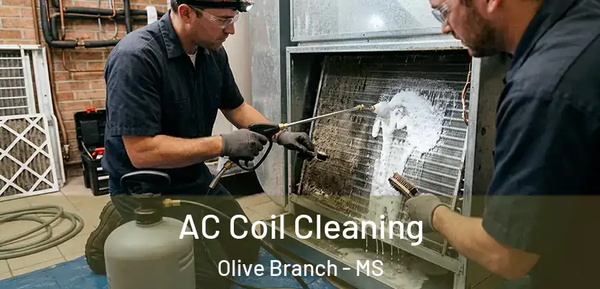 AC Coil Cleaning Olive Branch - MS