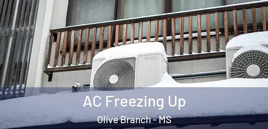 AC Freezing Up Olive Branch - MS