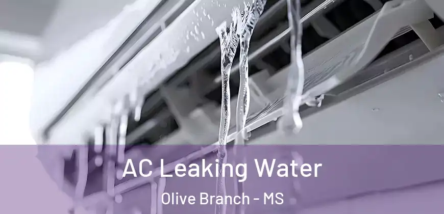 AC Leaking Water Olive Branch - MS