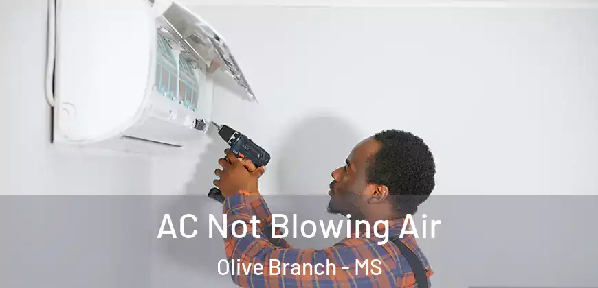  AC Not Blowing Air Olive Branch - MS