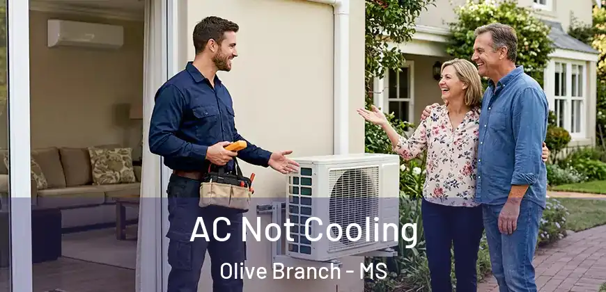  AC Not Cooling Olive Branch - MS