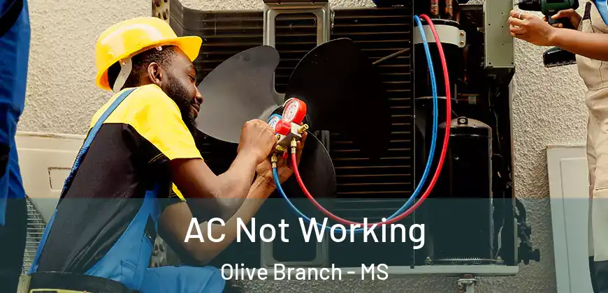  AC Not Working Olive Branch - MS