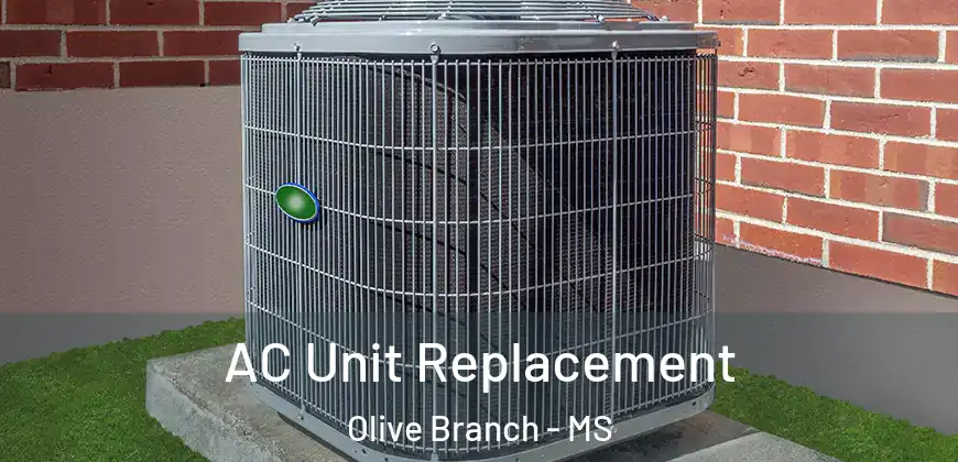  AC Unit Replacement Olive Branch - MS