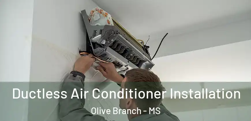  Ductless Air Conditioner Installation Olive Branch - MS