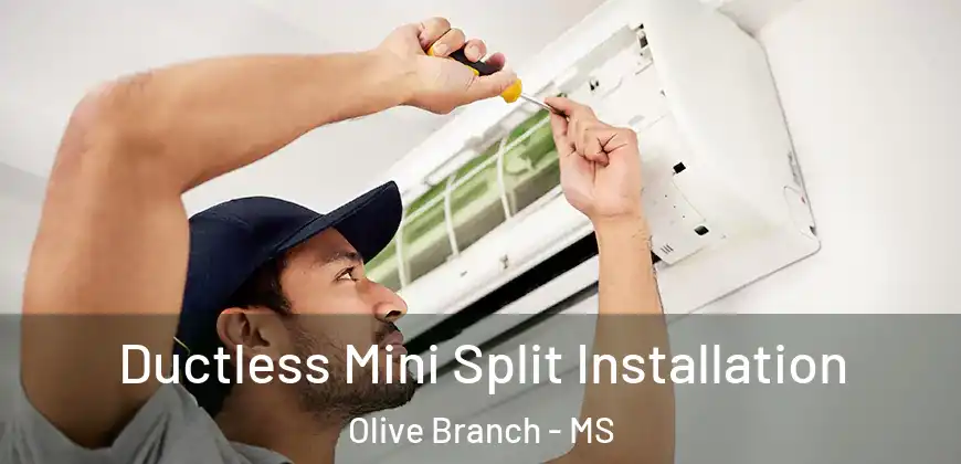 Ductless Mini Split Installation Olive Branch - MS