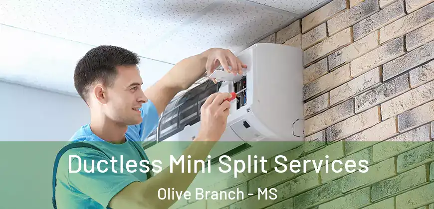  Ductless Mini Split Services Olive Branch - MS