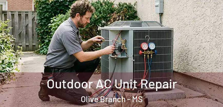 Outdoor AC Unit Repair Olive Branch - MS